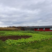 IMG_3009-200×200 