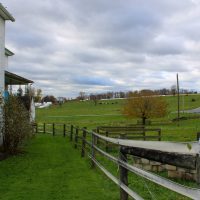 IMG_3011-200×200 