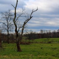 IMG_3023-200×200 