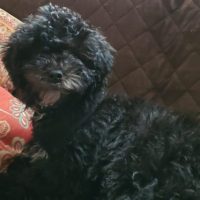 20191116_135311-scaled-1-600×373 