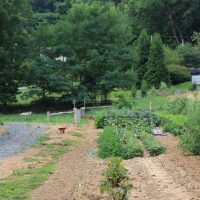 Breeder Profile sam king (8) 