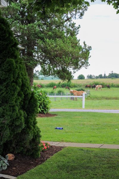 IMG_6023